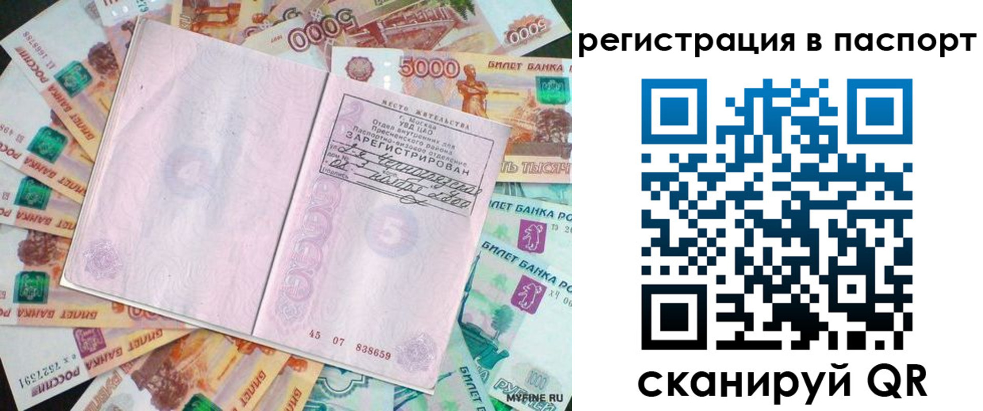 найти адрес прописки в Заринске